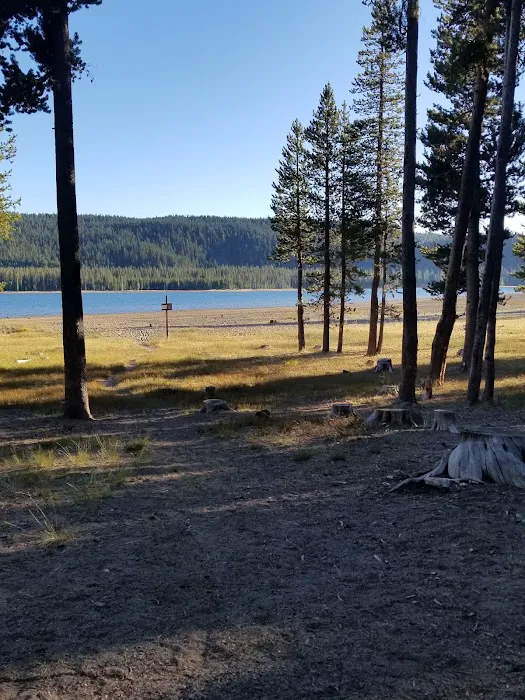 Medicine Campground Picture 7
