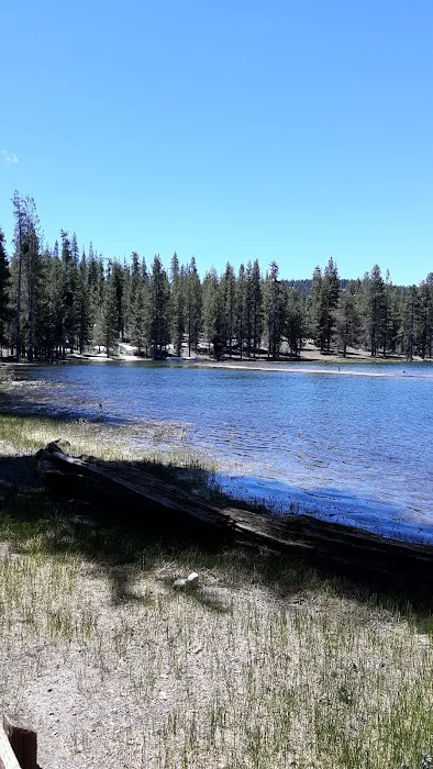 Medicine Lake Boating Site Picture 6
