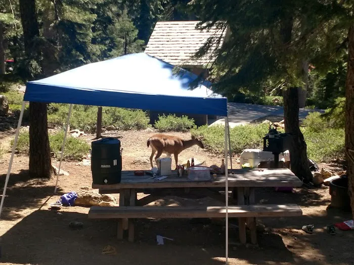 Kangaroo Lake Campground Picture 3