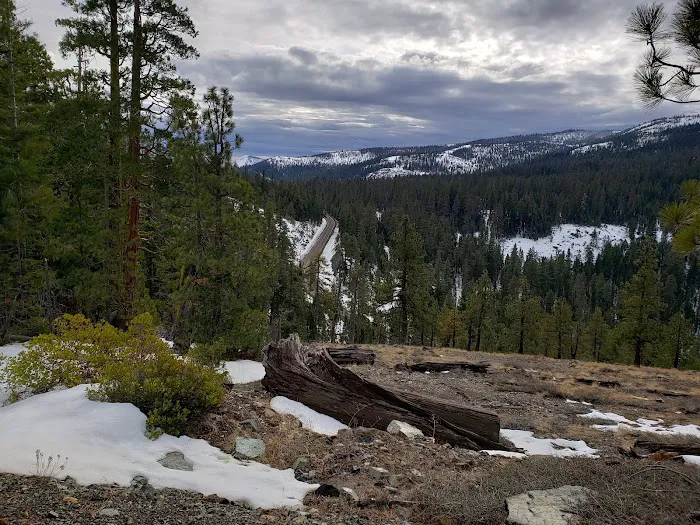 Scott Mountain Campground Picture 4