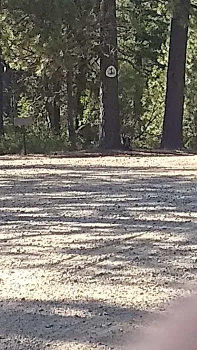 Scott Mountain Campground Picture 9