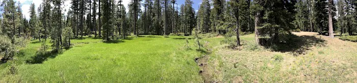 Scott Mountain Campground Picture 2