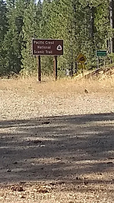 Scott Mountain Campground Picture 7