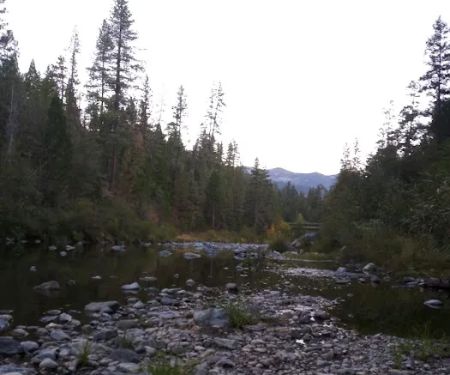 Trinity River Campground