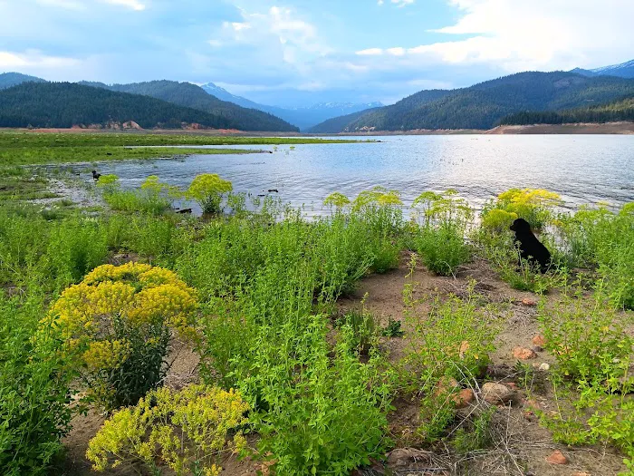 Coffee Creek Campground & RV Park Picture 4