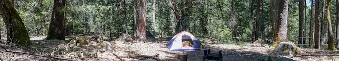 Goldfield Campground Picture 2