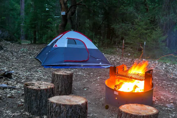 Goldfield Campground Picture 4