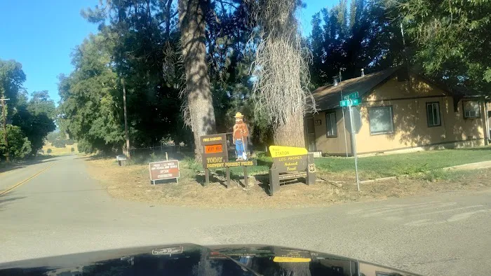 US Forestry Department Picture 10