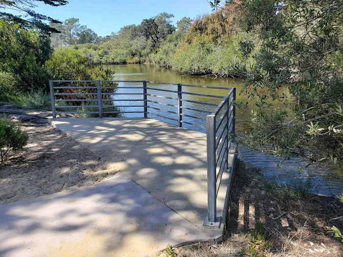 Oceano Campground Picture 9