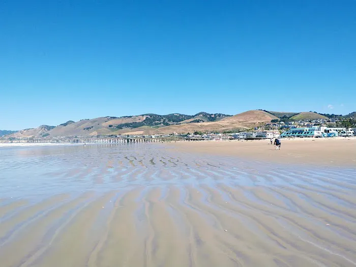 Oceano Campground - Pismo State Beach Picture 7