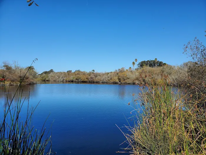 Oceano Campground - Pismo State Beach Picture 1