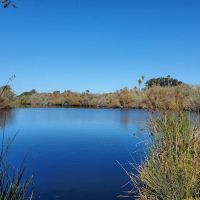 Oceano Campground - Pismo State Beach ico