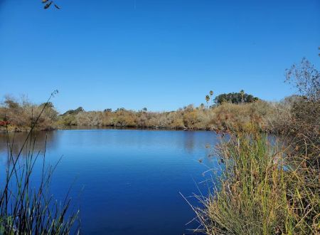 Oceano Campground - Pismo State Beach