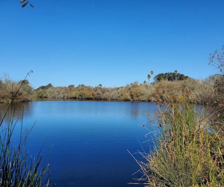 Oceano Campground - Pismo State Beach