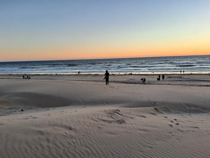 Oceano Campground - Pismo State Beach Picture 5