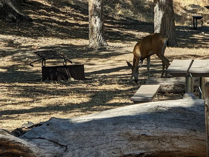 Lopez Lake Campground (entrance) Picture 4