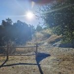 Pavo Group Campsite