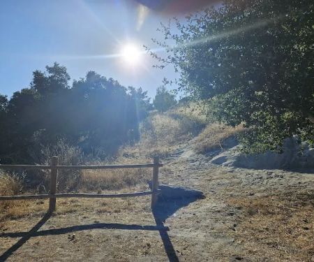 Pavo Group Campsite