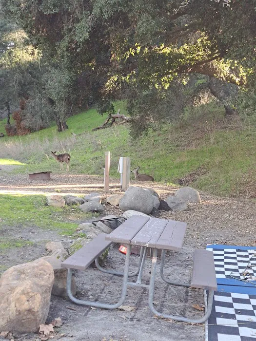 Conejo Campsite Picture 2