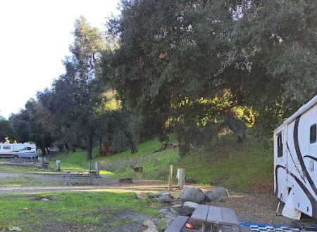Conejo Campsite