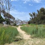 North Beach Campground