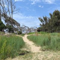 North Beach Campground ico