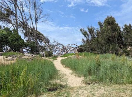 North Beach Campground