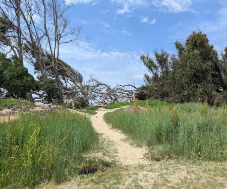 North Beach Campground
