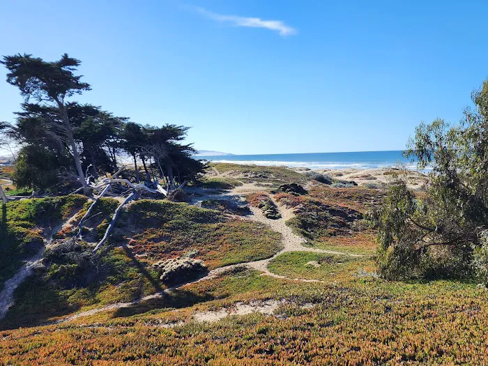 North Beach Campground Picture 2