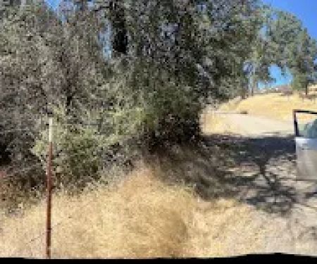Blackfoot Campsite
