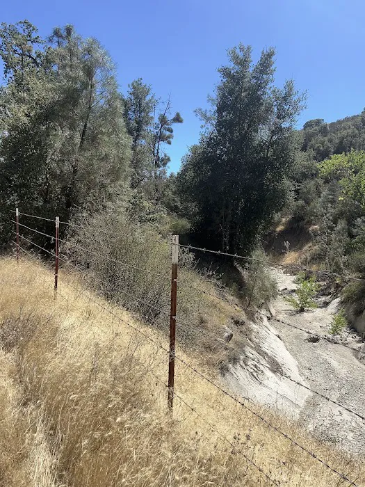 Blackfoot Campsite Picture 6