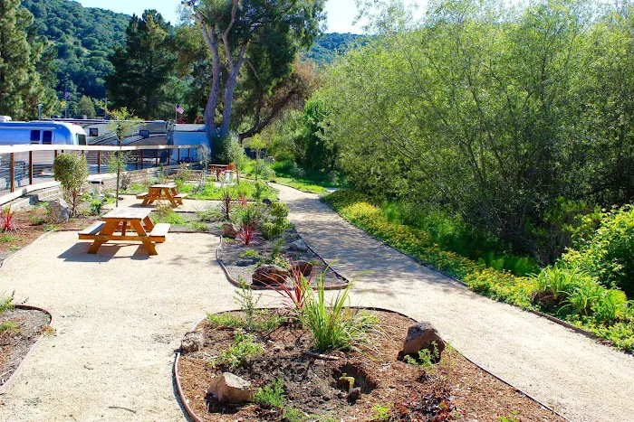 Avila Pismo RV Resort & Campground Picture 6