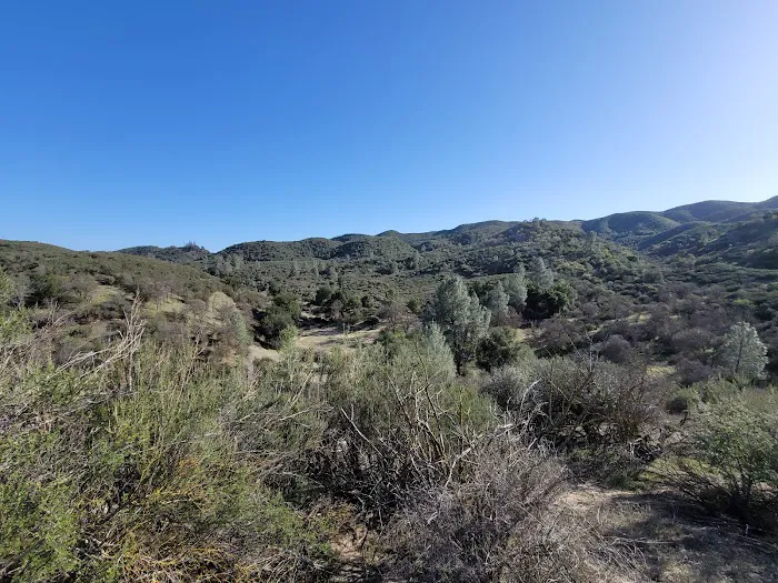 Friis Campground Picture 5