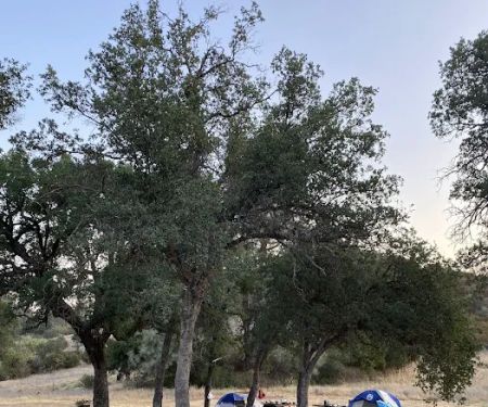 Friis Campground