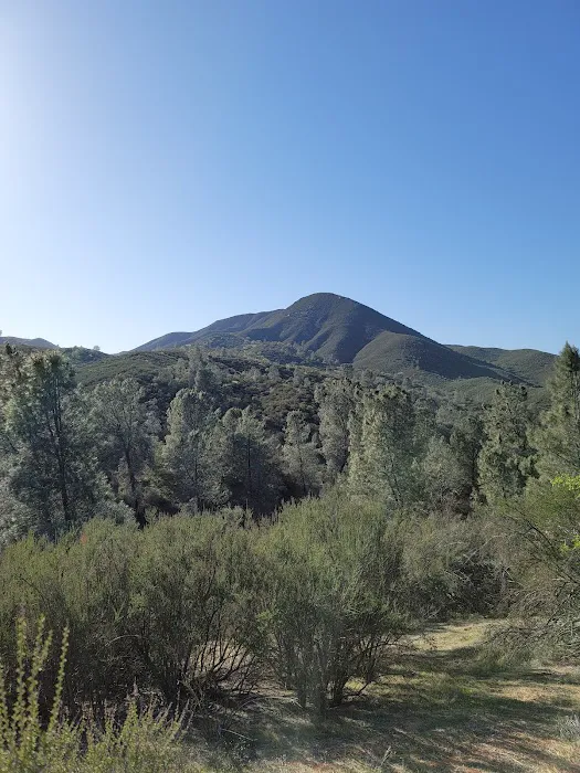 Friis Campground Picture 8