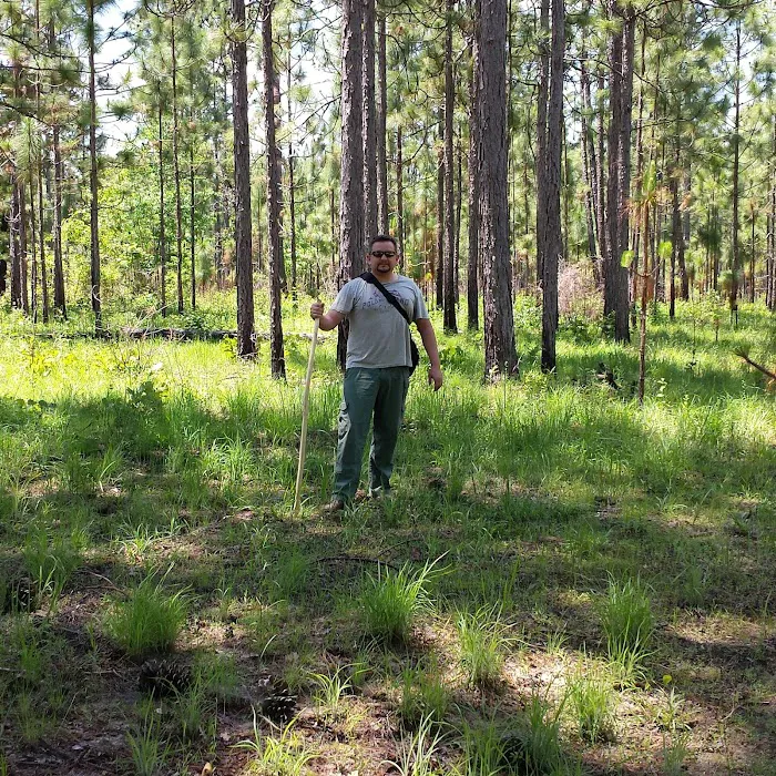 sandy hollow campground Picture 10
