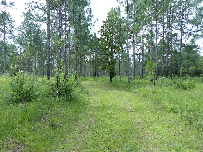 sandy hollow campground Picture 5