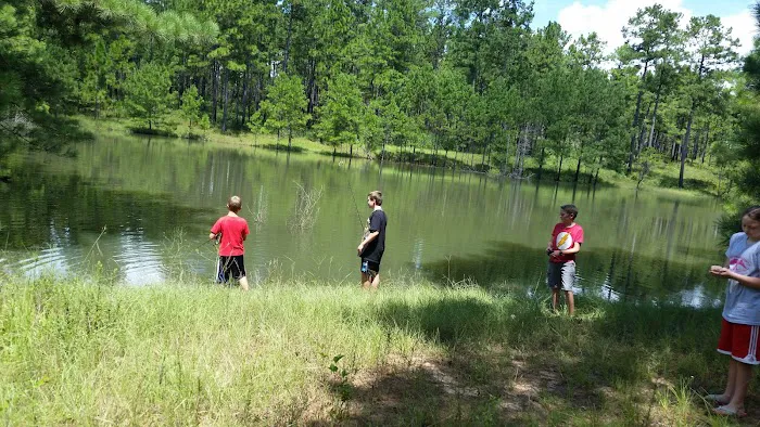 sandy hollow campground Picture 2