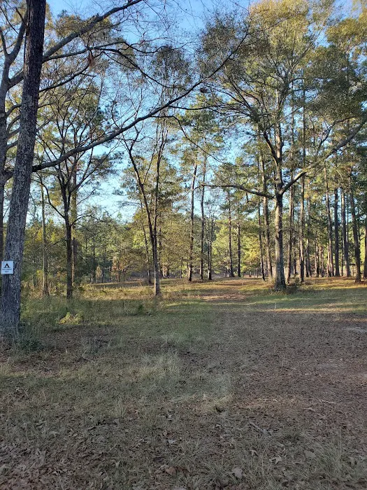 sandy hollow campground Picture 8