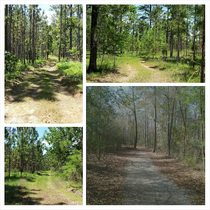 sandy hollow campground Picture 9