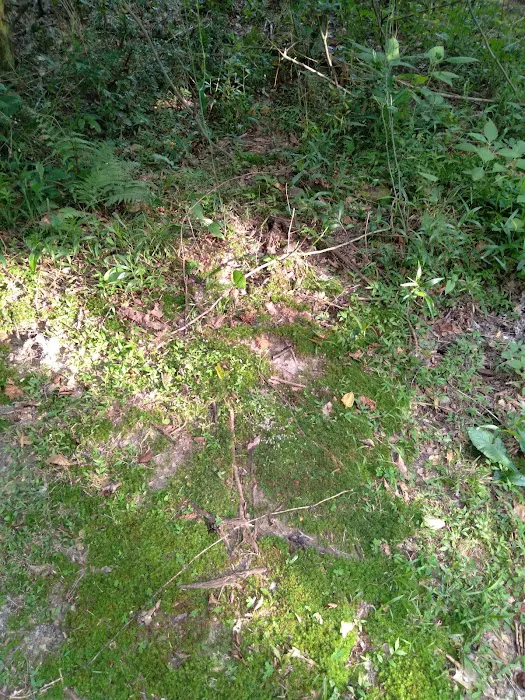 J & W Campground Picture 3
