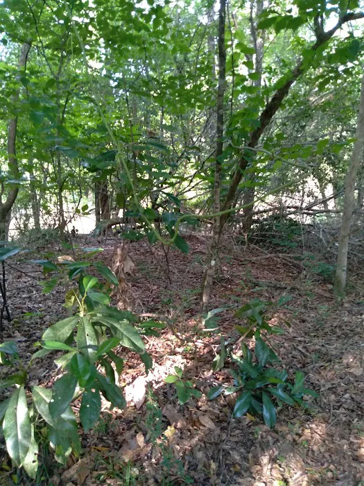 J & W Campground Picture 2