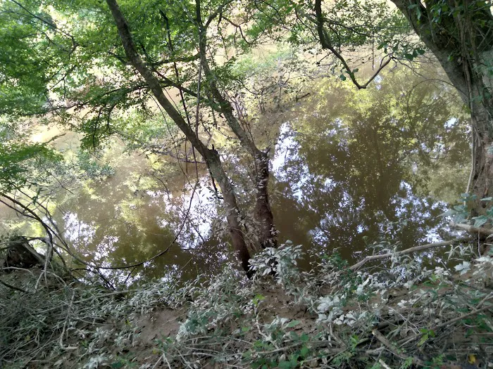J & W Campground Picture 5