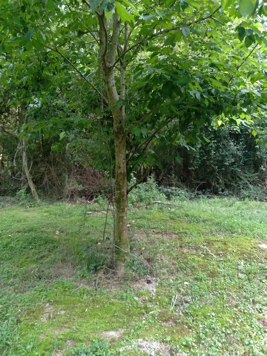 J & W Campground Picture 1