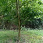 J & W Campground