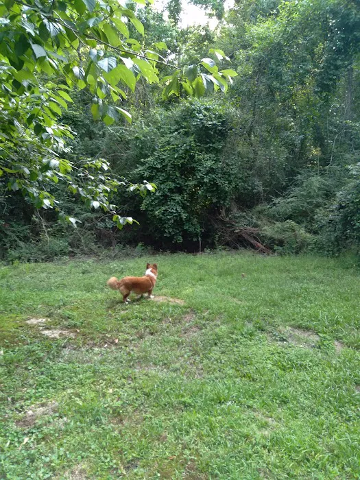 J & W Campground Picture 7