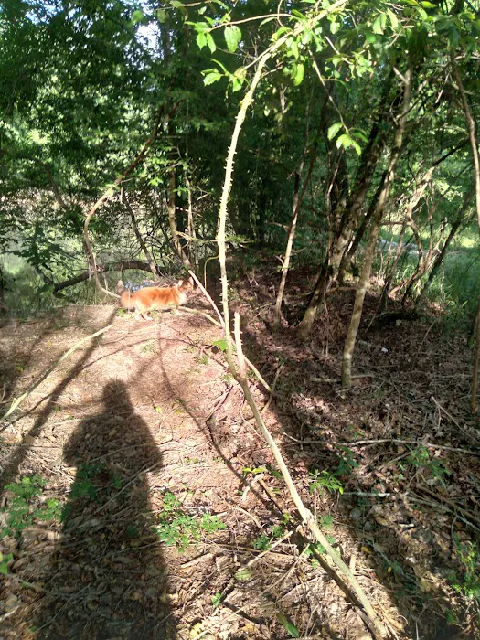 J & W Campground Picture 10