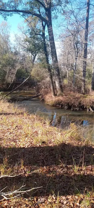 Tickfawriver cabin resort Picture 7