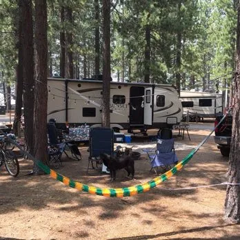 Tickfawriver cabin resort Picture 4