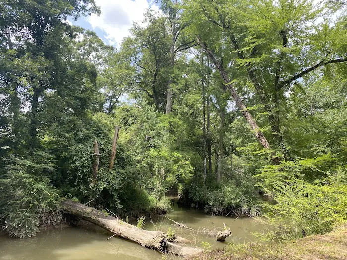 Tickfawriver cabin resort Picture 6